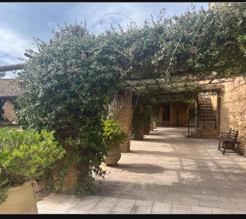 Masseria Sotto Le Stelle Provenzani Casalabate Eksteriør bilde
